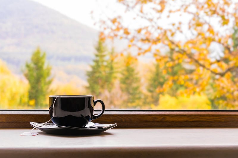 Why Do I Need a Humidifier in the Fall? Photo of a cup of tea sitting on a windowsill looking out to a fall view.